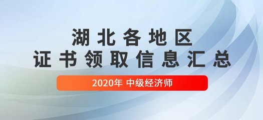 畅游数据浪潮 中级经济师的经济信息咨询实践