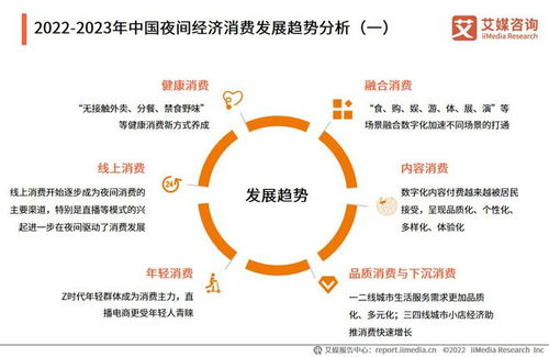 2022-2023年中国夜间经济行业发展与消费者调研报告